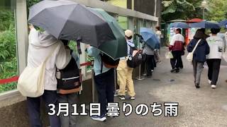 2024年3月11日（月） 台北の天気と服装  #台北 #天気 #服装 #3月