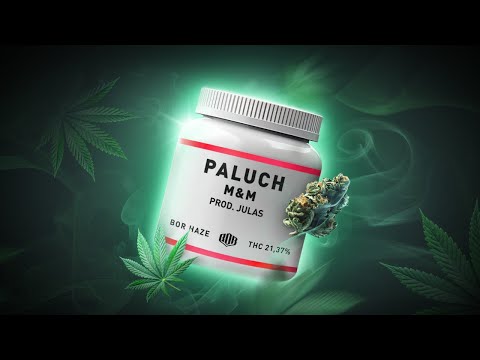 Paluch - M&M (prod. Julas)