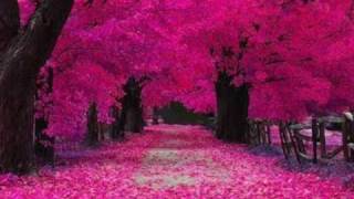 Juanes - Día Lejano  ):