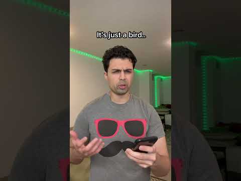 2015 Birds are back 😢 #shorts