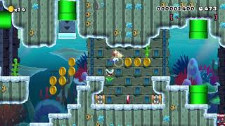 Super Warp World 1-3 Viscous Vegetation any% RTA speedrun route