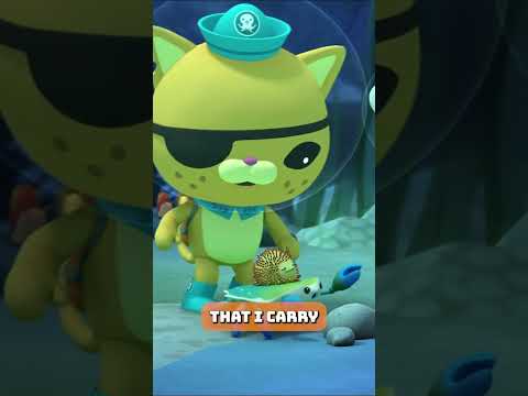 "I gotta a lot of points, I'm an Urchin" 🦀🪸 | Underwater Sea Education | #shorts #octonauts