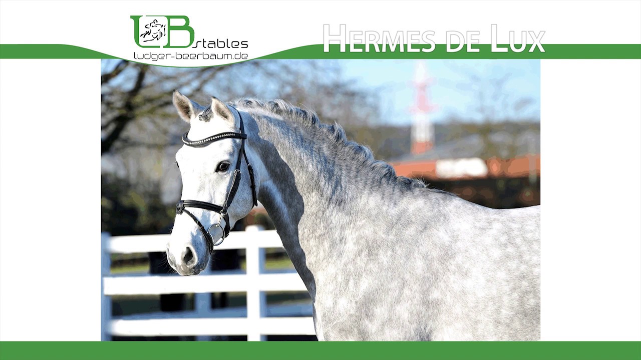 Hermes de Lux — headshot