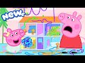 Peppa Pig Tales 2026 Dollhouse DISASTER BRAND NEW Peppa Pig Episodes