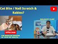 Cat Bite Nail Scratch Rabies Do U Need To Worry Pls Like Share And Comment