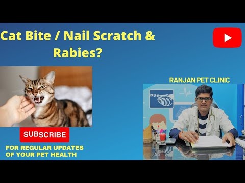 Cat bite / nail scratch & Rabies.Do u need to worry