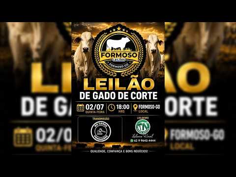 LEILÃO GADO DE CORTE FORMOSO LEILÕES - FORMOSO - GO - 02/07/2026