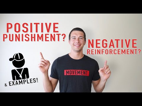 Examples of Positive and Negative Reinforcement and Punishment: Operant Conditioning Explained