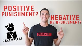 Examples of Positive and Negative Reinforcement and Punishment: Operant Conditioning Explained