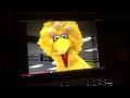 Big Bird Gets Lost Trailer