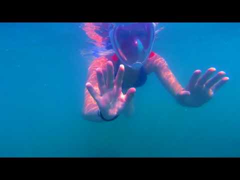 Tenerife 2018 | Vacation video