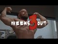 Shredded: 3 Weeks Out