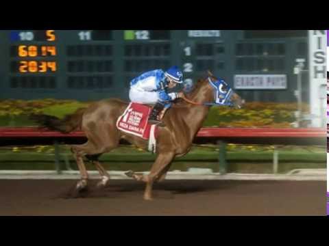 Heza Dasha Fire returns in 2016 Go Man Go Handicap