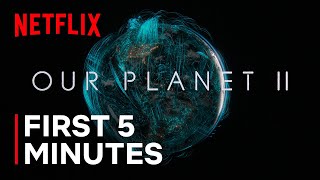 Netflix Our Planet II | The First 5 Minutes