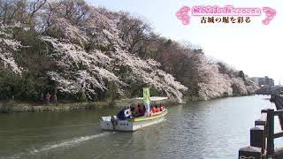 高岡古城公園