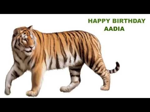 Aadia   Animals & Animales - Happy Birthday