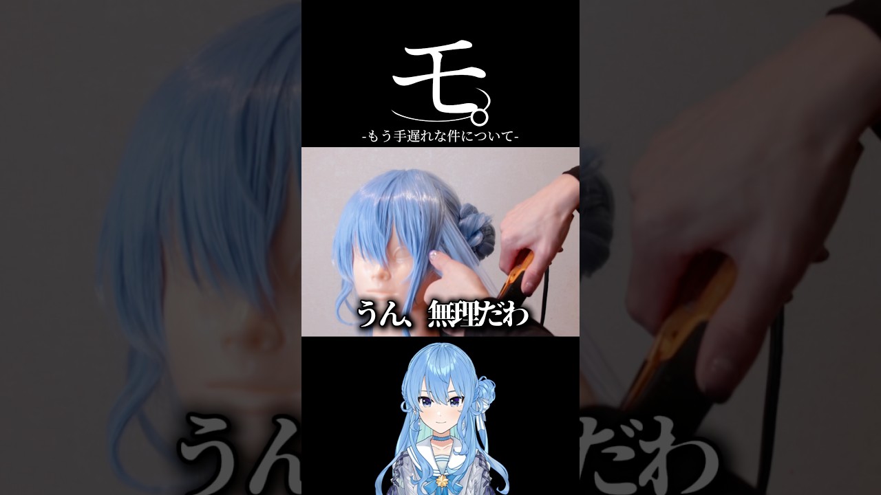 【hololive】星街すいせいの髪型を美容師が語りながら作ったらクオリティ高かった【星街すいせい】