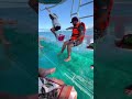 WOW a Glass Bottom Boat ⛵️ 🏝️#travel #mexico #vacation