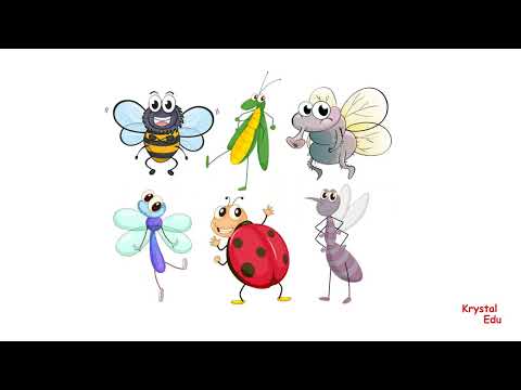 CAMBRIDGE PRIMARY SCIENCE. BOOK 2. UNIT 1. ENVIRONMENTS AND HABITATS VOCABULARY