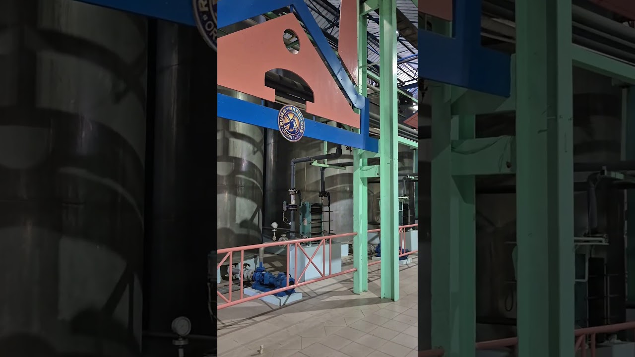 The Foursquare rum distillery tour with our excellent guide Tamira