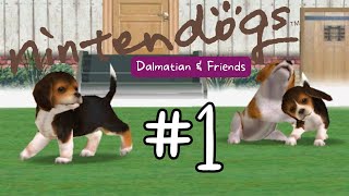 Nintendogs - Getting our First Puppy!
