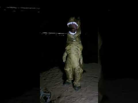 T-REX GOT CAMEL TOE!!??!!