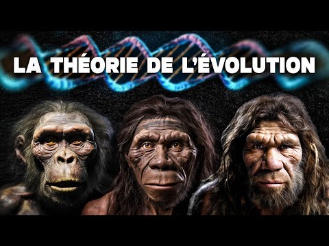 La théorie de l'évolution de Charles Darwin, expliquée simplement