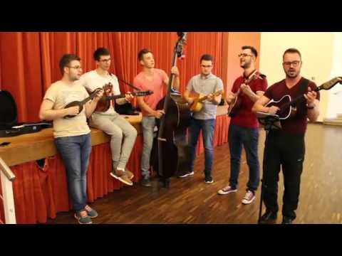 TS Indigo - Mix Sumi sumi javore - Oj Oraje, Oraje - Tamburasi pokraj Dunava (M. Skoro) - Cover