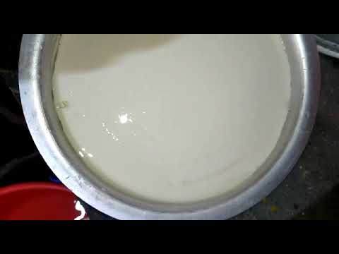 Soya And Dairy Curd Making Machine
