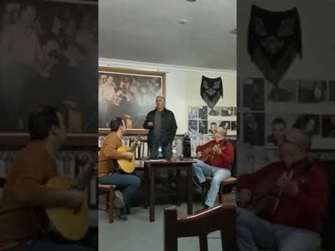 fado do sobreiro Humberto Alves