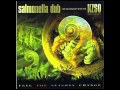 Salmonella Dub - Watching It Rain