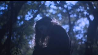 Birdy - Heart Of Gold
