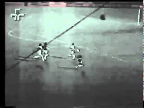Palmeiras 4 x 0 Botafogo (SP) - 1976