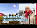 'Teveel bestrijdingsmiddelen lelieteelt' & Positief rapport asielzoekers | Drenthe Nu