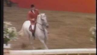 Milton: a tribute to Europe's greatest showjumper