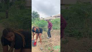 Download lagu #dj #electronicmusic #housemusic #edm #dance mp3