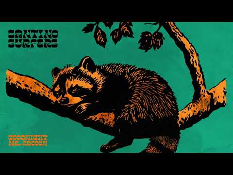 Santino Surfers - Goodnight Mr. Racoon - s0830