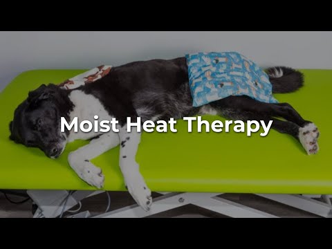 Moist Heat Therapy – Video Moist Heat Therapy - Video