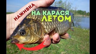 На что клюет карася летом
