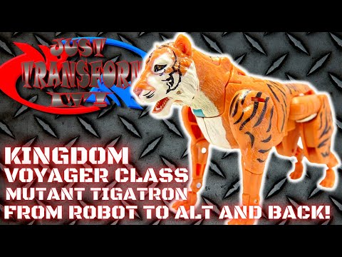 JUST TRANSFORM IT!: Kingdom Voyager Mutant Tigatron