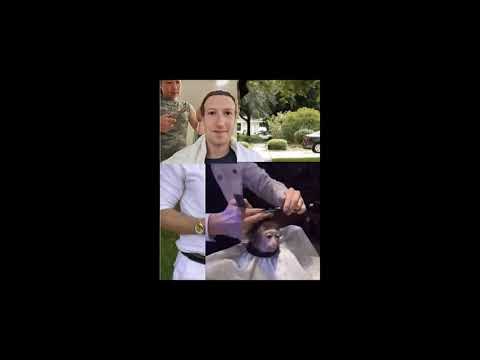 [FREE FOR PROFIT] chillwagon x secretrank type beat - monkey