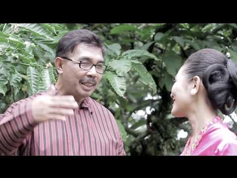 Kang Herry - Cintaku Dikebun Kopi | Dangdut [OFFICIAL]