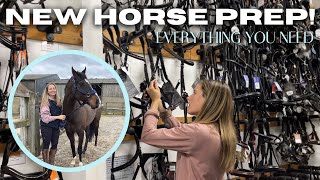 NEW HORSE ARRIVES!  BIGGEST TACK HAUL feed shop st