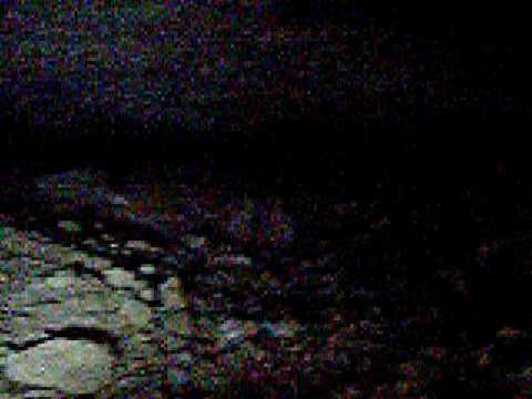 Pichones de Jote en cueva Rincón del Alamo