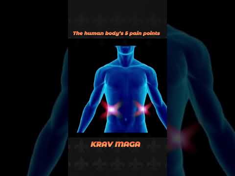 The human body’s pain points #shorts #fight #fighting #kravmaga