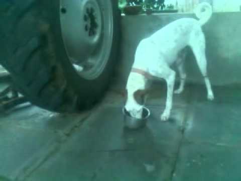 karanam jimmy eating food