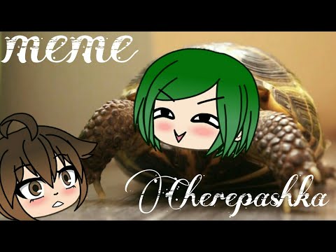 Морская черепашка по имени Наташка meme || Gacha life
