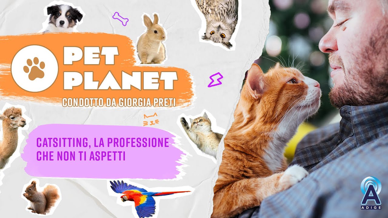 Descrizione dell'immagine