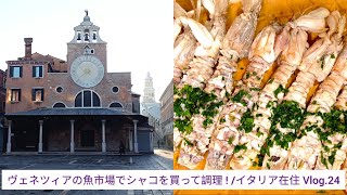 ヴェネツィアの魚市場でシャコを買って調理 ! / イタリア在住 Vlog.24