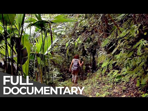 Somewhere on Earth: Costa Rica